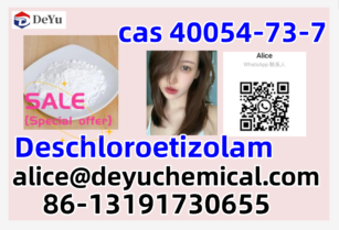 40054-73-7 Deschloroetizolam