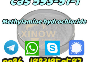 Buy 593-51-1 Methylamine hydrochloride Medecine Grade