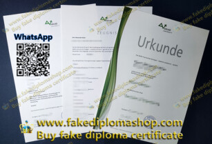 WhatsApp+852 95671343 What does the AKAD University diploma and transcript look like?