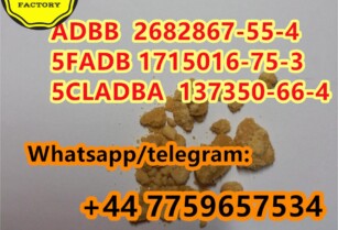 Europe to Europe delivery synthetic Cannabinoids 5cladba ADBB supplier low price Wapp/Tele: +44 7759657534
