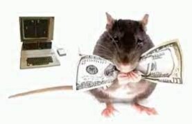 Spiritual Rats / Short Boys (Amagudwane) That Brings Money, For Hire Call / WhatsApp: +27722171549
