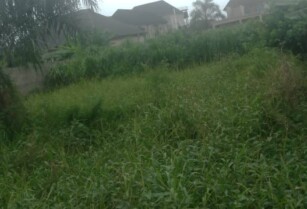 Own Land in Banana Estate, Ejigbo – Perfect for Residential Building! (Call 09013564170)