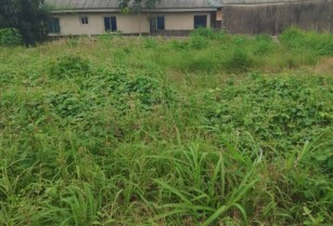 Secure Half Plot with Documentation and Receipt – Ikorodu Lagos (Call 09023911804)