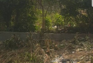 Land for Sale in Aseese, Less Than 5 Minutes from Express – Call 09123450150