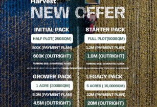 Affordable Farmland Investment in Alabata Abeokuta – Call 08121302087