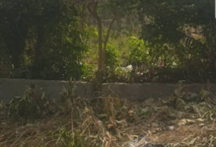 Land for Sale in Aseese, Less Than 5 Minutes from Express – Call 09123450150